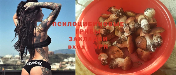 a pvp Дмитровск