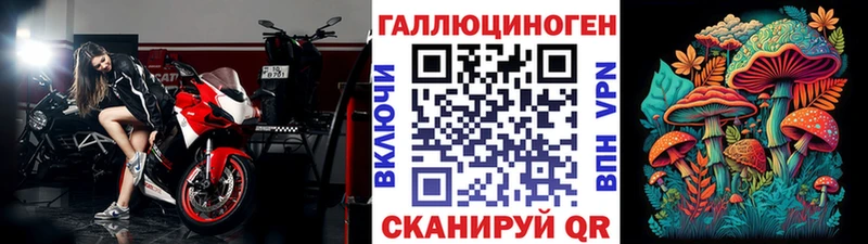 Псилоцибиновые грибы Cubensis  Купить закладки  Талица 
